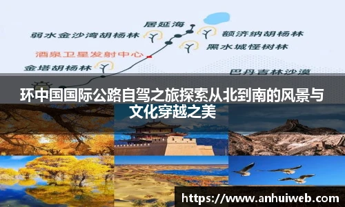 乐彩汇官方网站